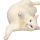 cat 1