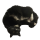 cat 2