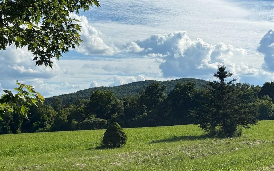 Rolling green hills and a distant tree-lined ridge under a blue sky streaked with clouds, seen from a roadside field along New York Route 20 in upstate New York